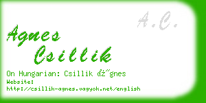 agnes csillik business card